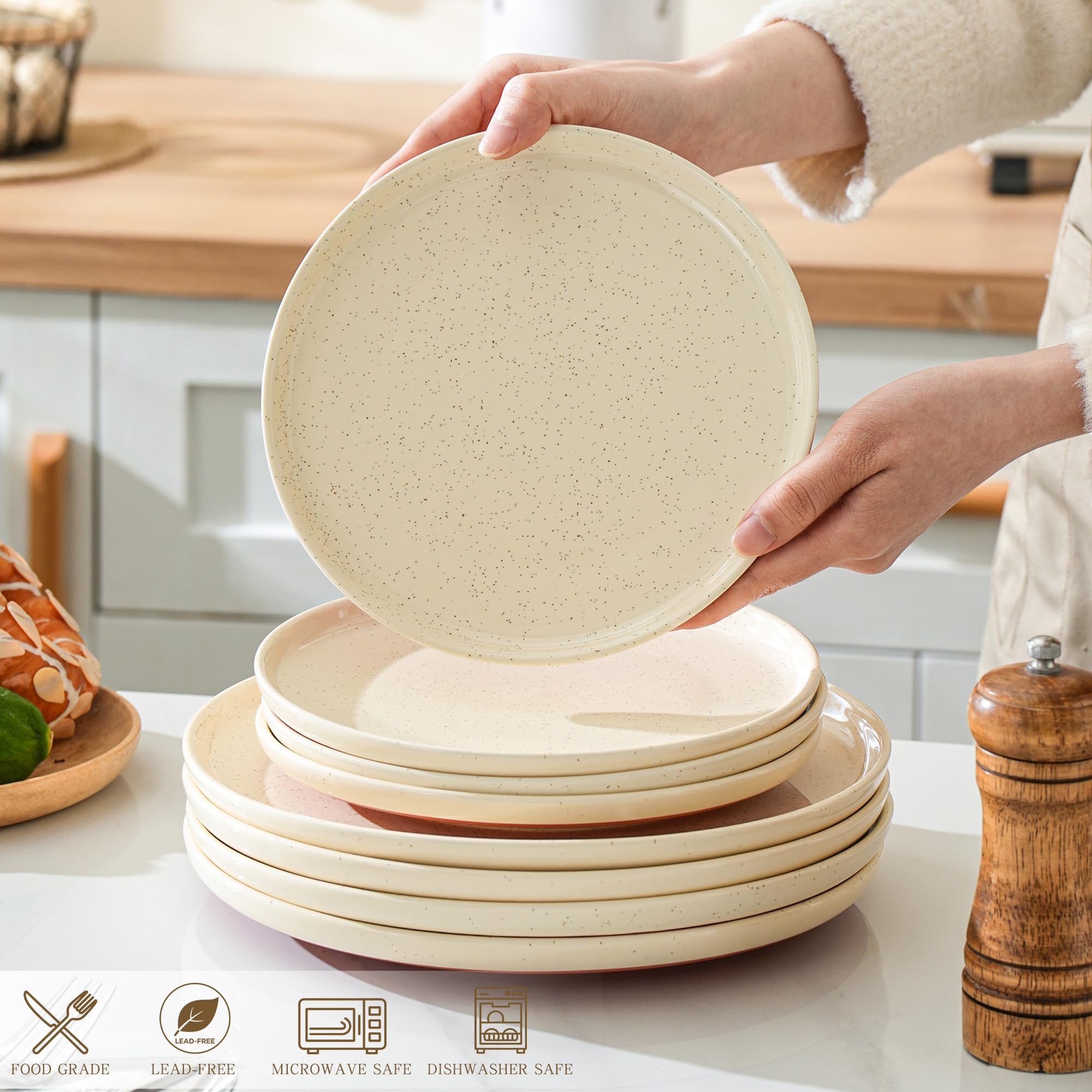 10.25" Ceramic Dinner Plates Set of 4 – Speckled Stoneware Plates